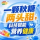 金秋金陵，第115届秋季全国糖酒会，食饮新物种，破土而出